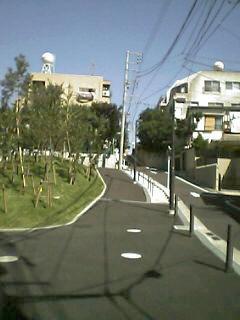 낪ˁ[A5501T