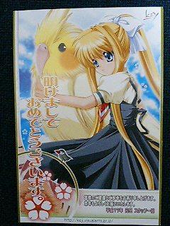 VisualArt's 2005Niϗ邿jW21CA